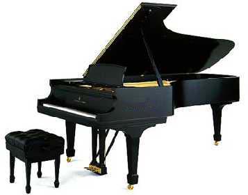 piano a nice location accordeur concert expertise vente steinway 